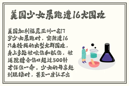 羞羞网页登界面入口